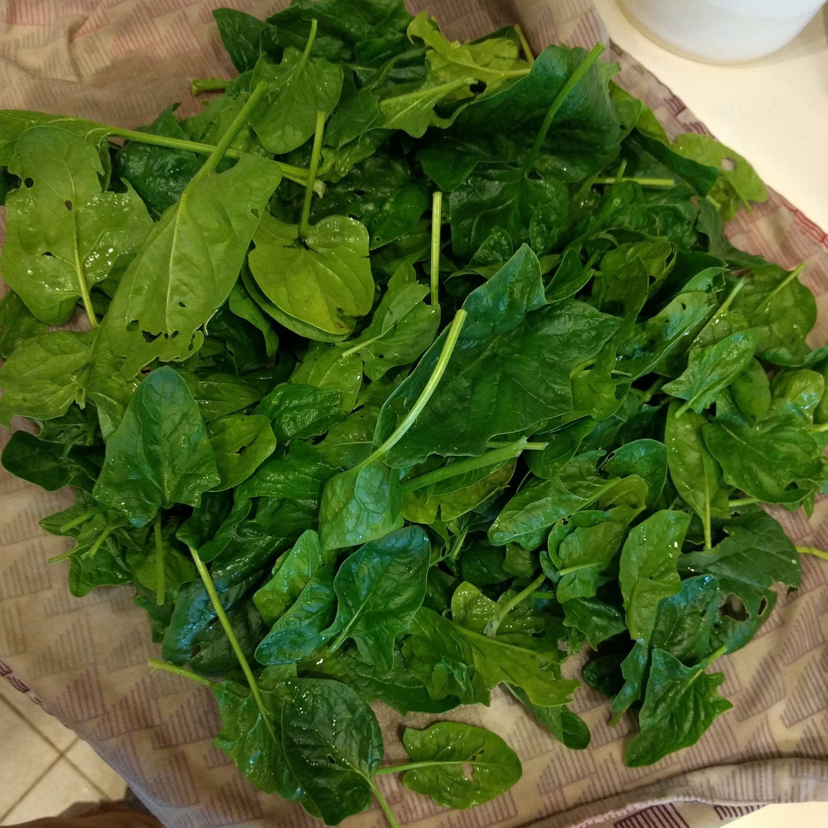 A pile of cleaned spinach.